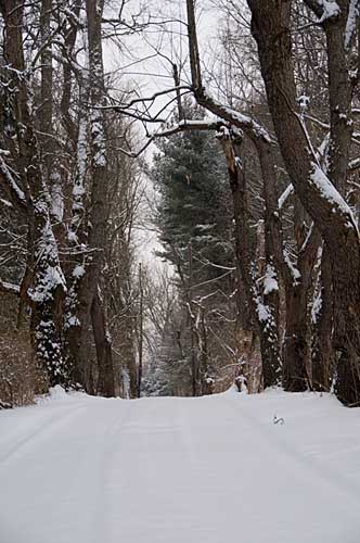 Driveway along Cherry Bottom Road