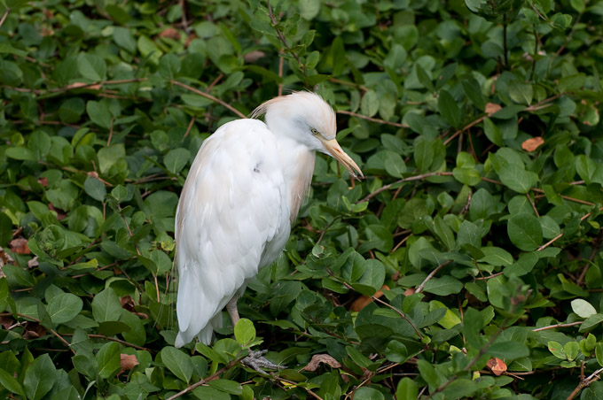 Taken at the Columbus Zoo