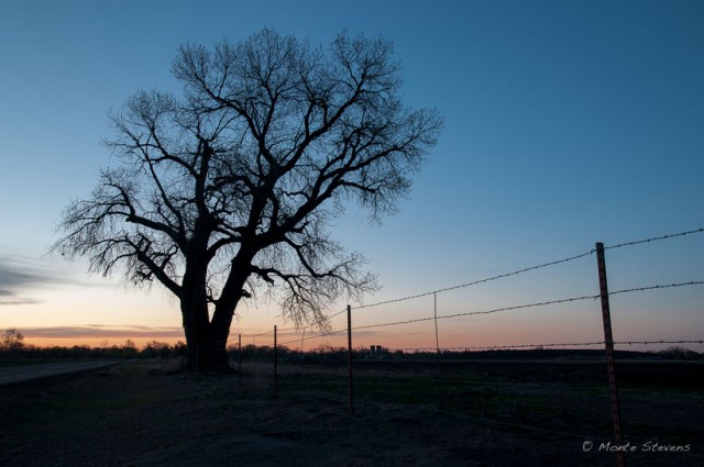 Pre-dawn Light