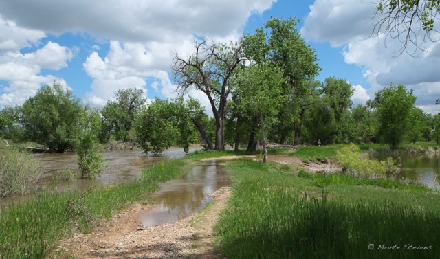 Overflowing its banks